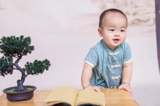 延边可爱的企鹅宝宝